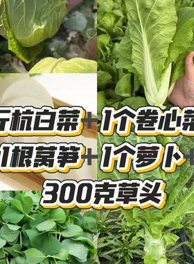 【江浙沪包邮】吴叔叔崇明蔬菜组合（杭白菜卷心菜莴笋萝卜草头）
