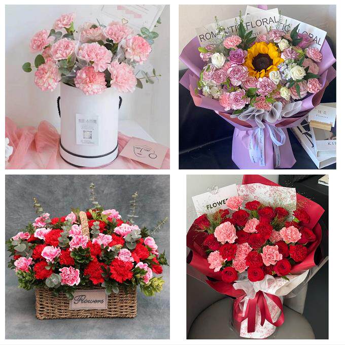 送洛阳市洛宁县伊川县偃师市同城鲜花店38节送长辈女士康乃馨百合