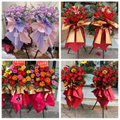 河南焦作市解放中站马村山阳区同城鲜花店开业花篮送新店公司乔迁