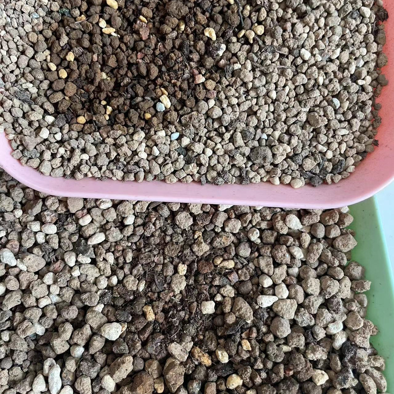 杜鹃花盆景专用酸性颗粒土 生桩，熟桩通用型