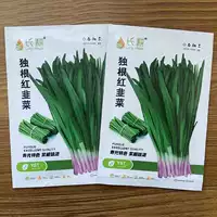 10 г красного лука с длинными корнями