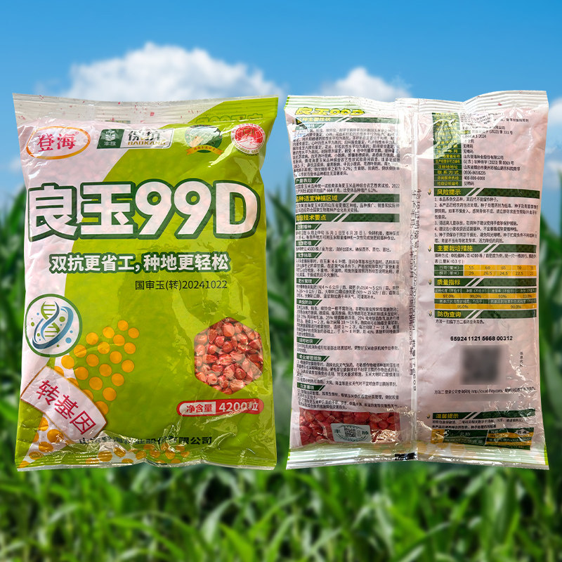 良玉99D玉米种子转基因大田玉米种籽春秋四季国审饲料玉米高产孑