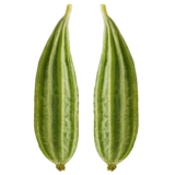 Семена ароматной люфы, люфы водяной, люфы восьмигранной, семян люфы восьмиугольной, цветочных пятен, весенних, летних и осенних семян овощей.