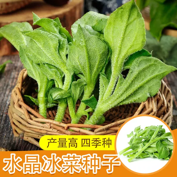 Товары от 程清竺