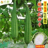 Семена ароматной люфы, люфы водяной, люфы восьмигранной, семян люфы восьмиугольной, цветочных пятен, весенних, летних и осенних семян овощей.