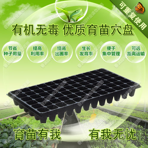 【50穴】加厚育苗盘 育苗盆 育苗钵 穴盘 种菜育苗更方便 种植盘