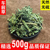 精选500g 新货中药材 广西野生车前草 车轮菜切段无硫泡水干货当季