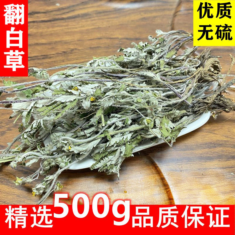 野生翻白草番百草叶下白全草整颗带根当季新货无硫中药材精选500g