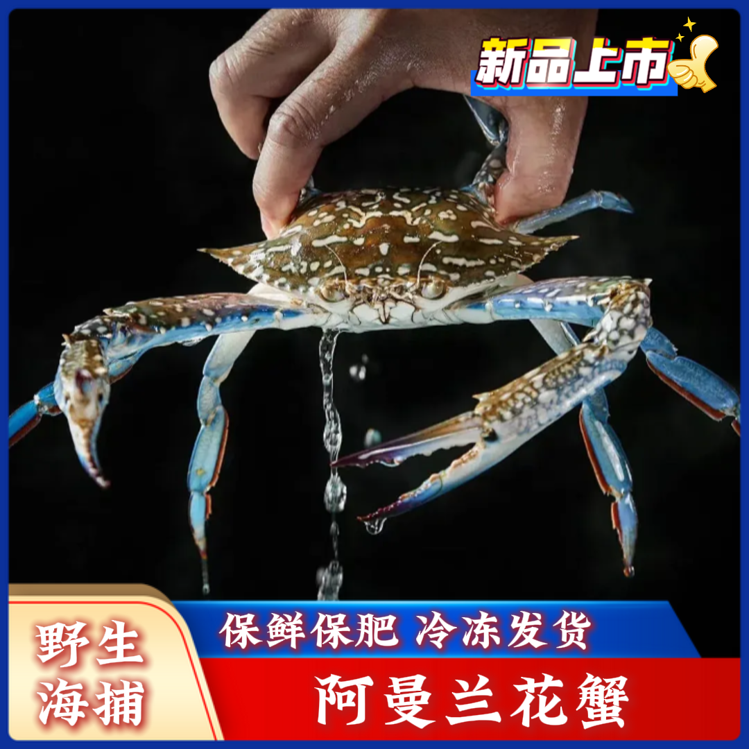 阿曼兰花蟹进口活冻保鲜不保活膏肥肉满深海捕捞公蟹母蟹冻梭子蟹