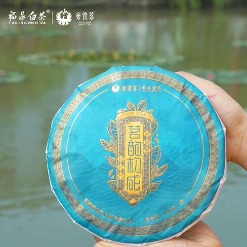 畲依茗白茶初成福鼎2020年