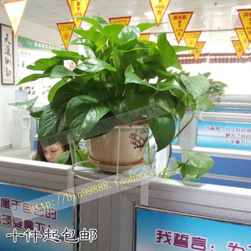 铁艺办公室隔断工位花架