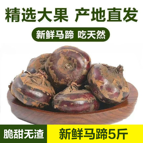 湖北马蹄大果农家自种新鲜现挖荸荠果野生红荸荠应季水果蔬菜农家