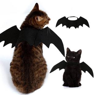 Costume Cat Small Pet Wings Cute Bat Halloween