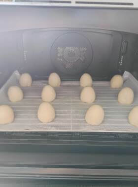 户外露营不锈钢网架蒸烤焗一体