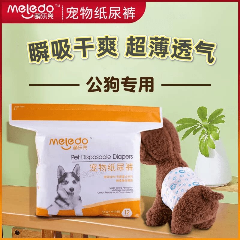 狗狗尿不湿公狗幼犬母狗生理裤