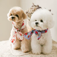 Собака и собака шарф шарф пит -кот бинг, милый маленький и маленький Инукуди Бикику вода для водной набережной