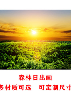 森林日出风景画绿色树木草地阳光四射海报风水靠山图招财贴墙壁画