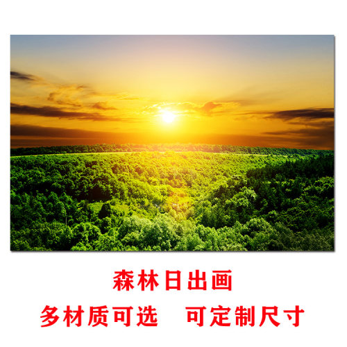 森林日出风景画绿色树木草地阳光四射海报风水靠山图招财贴墙壁画