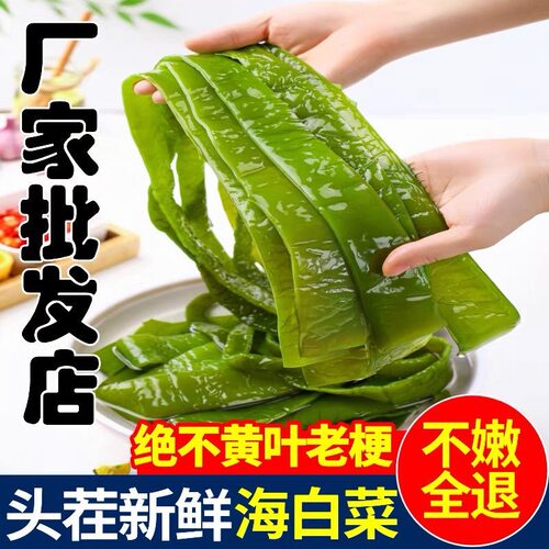 整箱4斤新鲜海白菜盐渍裙带菜梗海裙菜海菠菜非干货海藻包邮