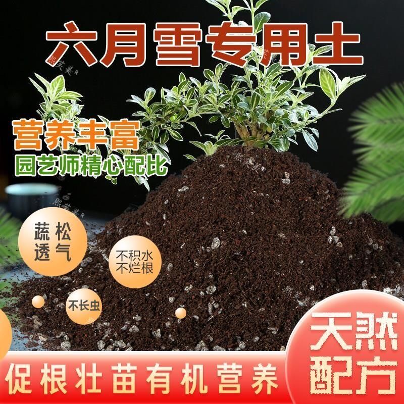 六月雪专用土盆栽有机肥料种花泥土专用营养土种植土养花土花卉土