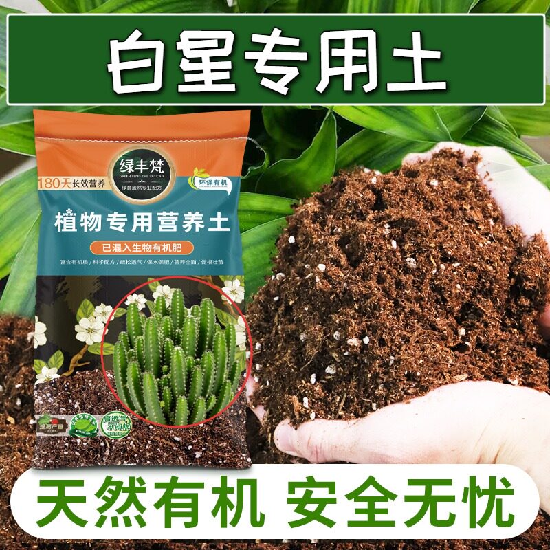 白星专用腐殖土疏松多孔绿萝种植土进口壮根试用装木本温和基质