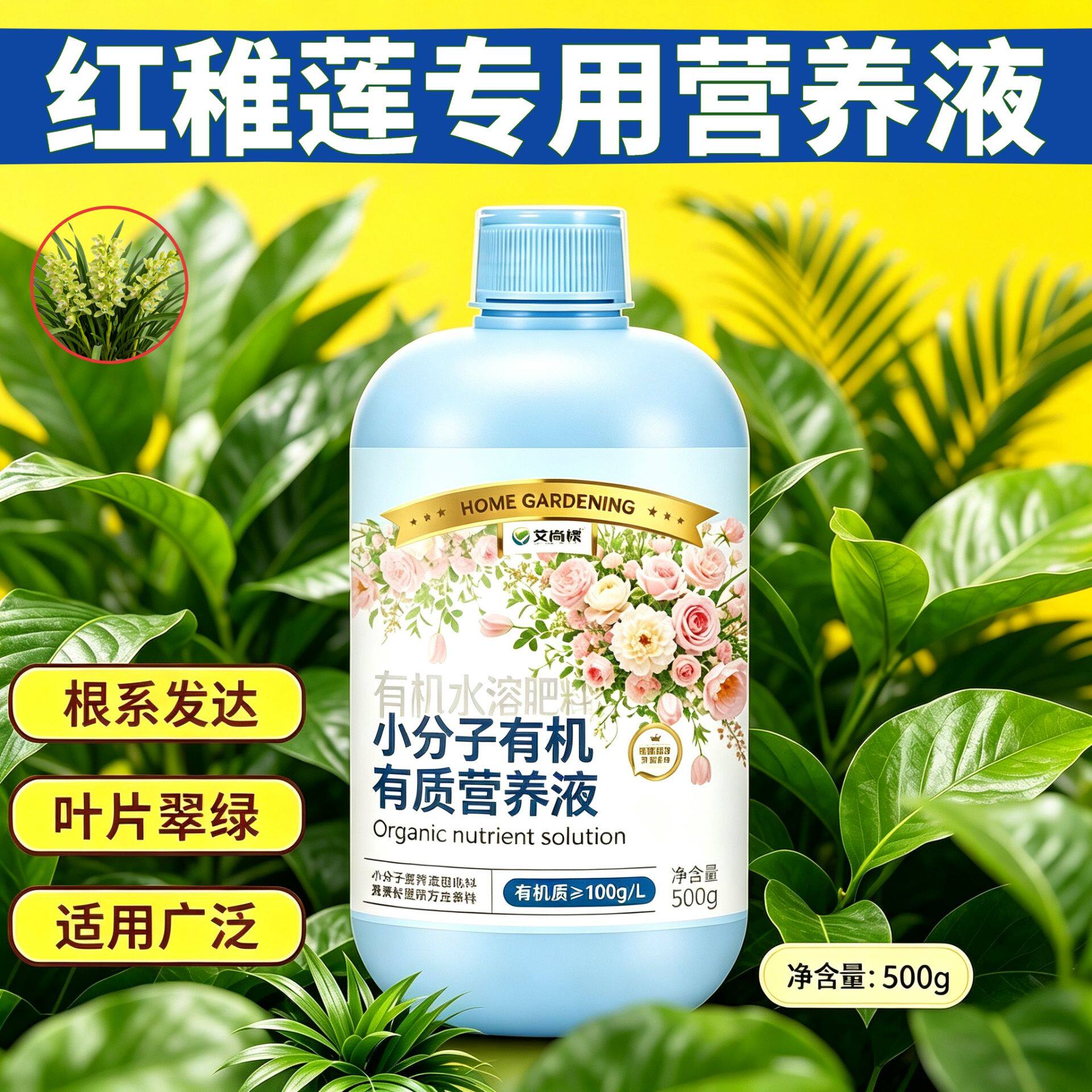 红稚莲适用水培型营养液小分子有机质浓缩高效园艺盆栽根叶双补