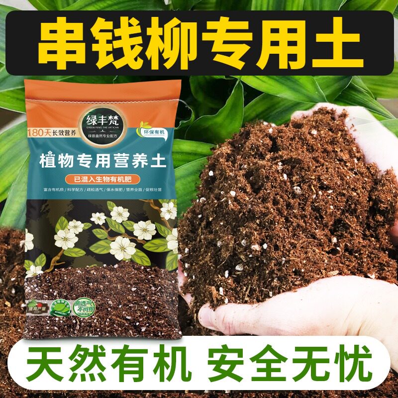 串钱柳适用育苗土富含有机质室内种植土进口防黄叶大包装喜酸花盆
