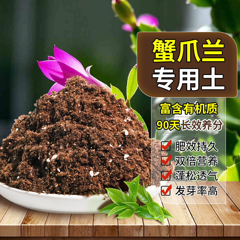 蟹爪兰专用种植土质地松软扦插营养土杂质较少促生长无草籽观花
