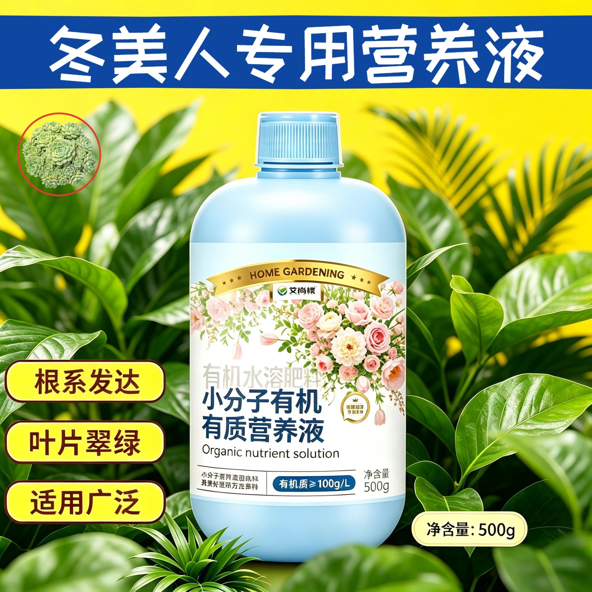 冬美人适用小分子有机质水溶肥小分子有机质叶绿花艳家用浓缩高效