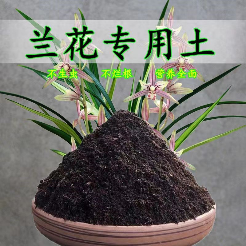 兰花专用种植土泥炭土疏松透气室内嫁接盆栽土有机木本球根园艺