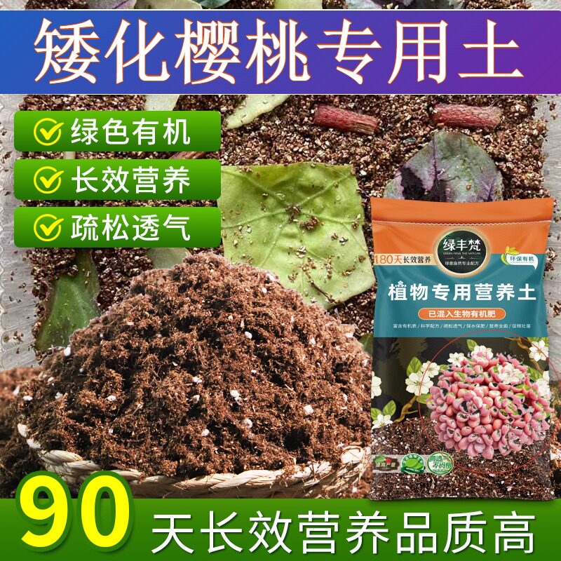 矮化樱桃专用花泥根壮苗好园艺盆栽土有机增强孔隙家用装木本观花