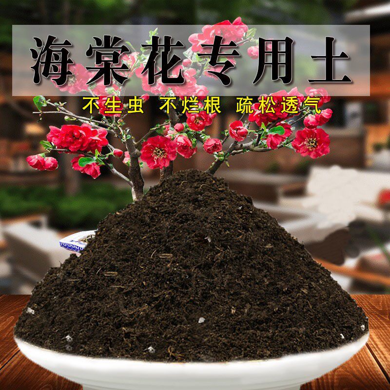 海棠花土专用土盆栽盆景酸性通用型营养土种花养花土壤绿植种植土