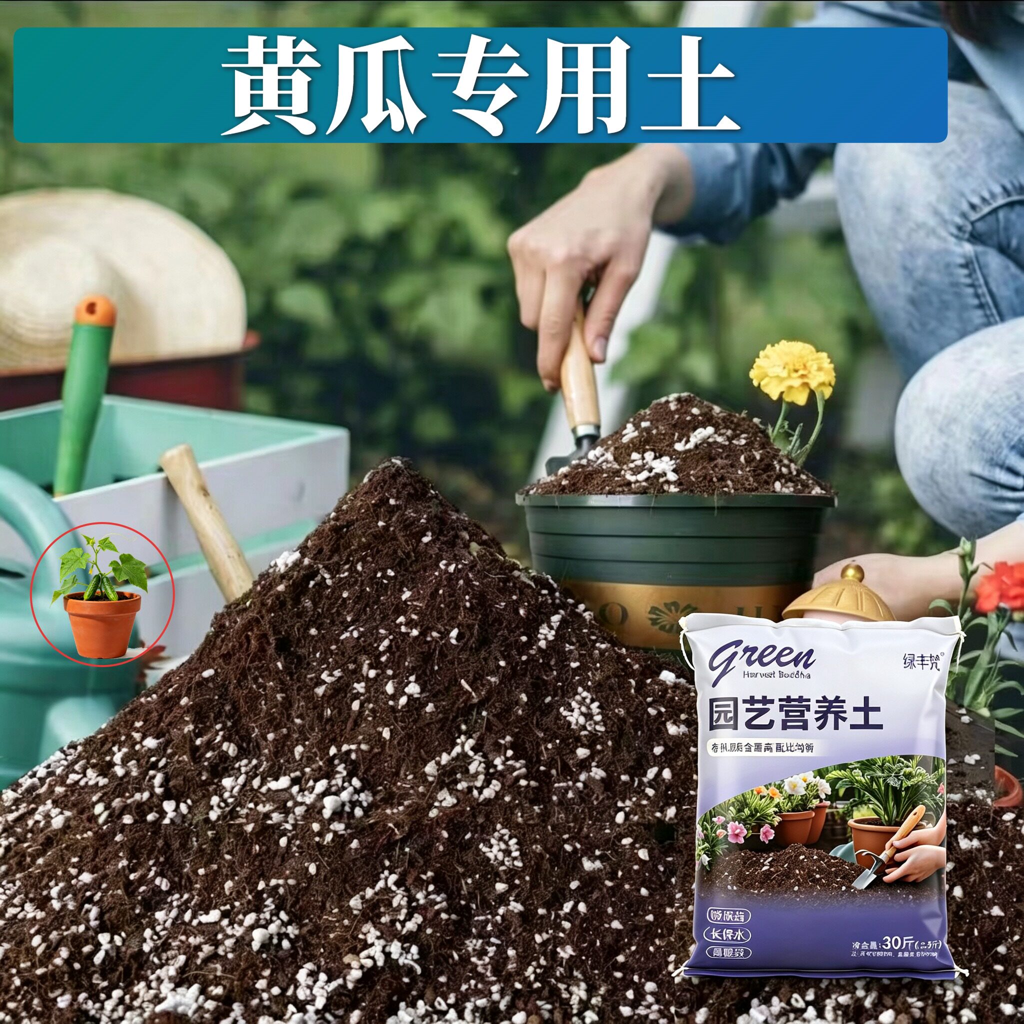 黄瓜适用进口泥炭土不烂根高温灭菌盆景大包进口绿叶球根不闷根