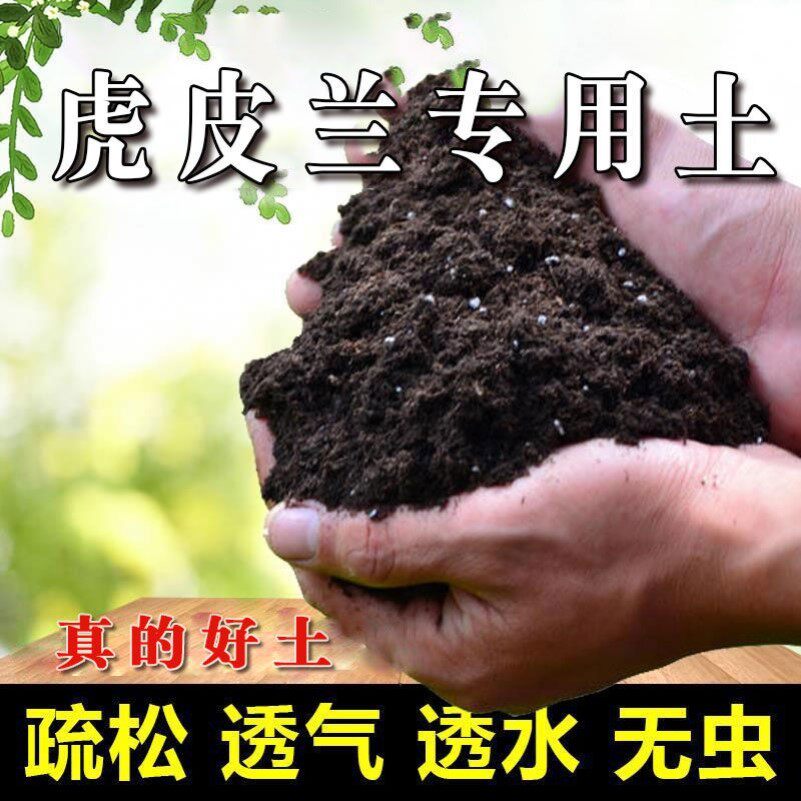 虎皮兰专用土盆栽营养土家用养花土壤通用弱酸性泥碳土肥料种植土
