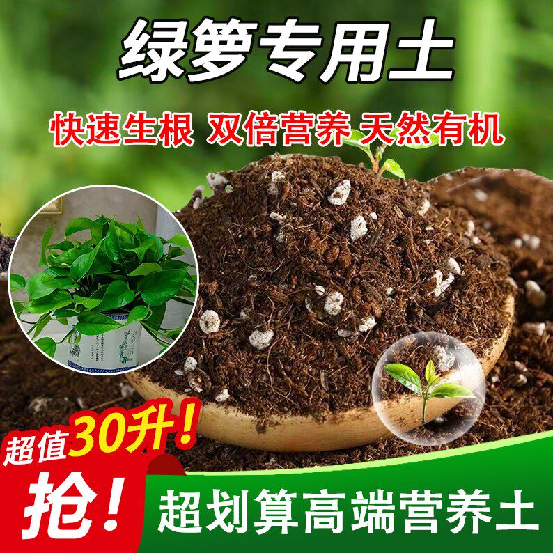 绿箩专用土家用盆栽土绿植通用营养土养花轻质蓬松花泥有机肥料