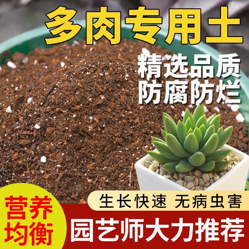多肉专用土肉肉营养土育苗土种植土多肉小苗土家庭多肉土花卉土壤