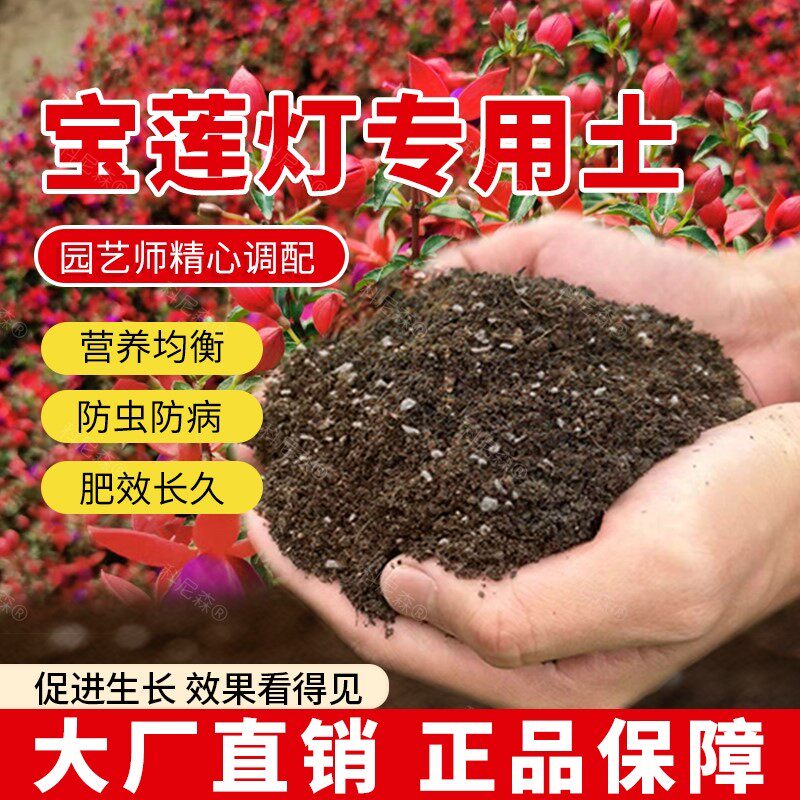 宝莲灯专用土肥料宝莲灯花营养土种花盆栽土壤花卉绿植黑土花草