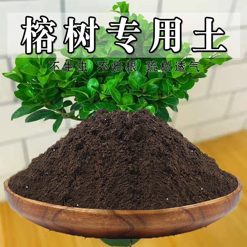 榕树专用土盆栽绿植人参榕树营养土通用种花养花泥土有机肥种植土