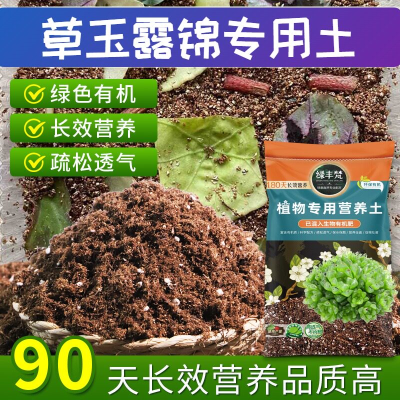 草玉露锦专用营养土天然原料月季盆栽土腐熟充分壮根大包装球根