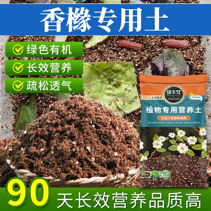 香橼专用花泥干净无杂菜园营养土精选留存肥力开袋即用木本绿叶