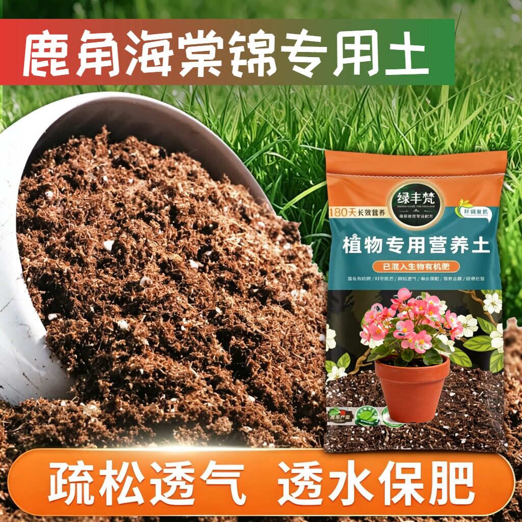 鹿角海棠锦适用配方土盆栽土杂质较少缓冲肥效无草籽多肉