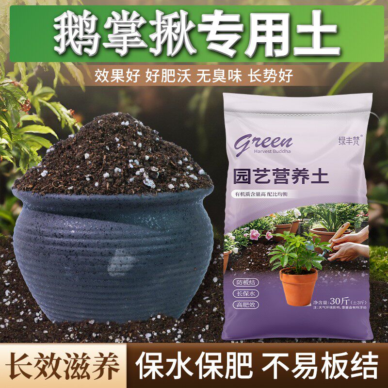 鹅掌揪专用腐叶土高温灭菌盆栽加深生根粉精选增色球根室内园艺