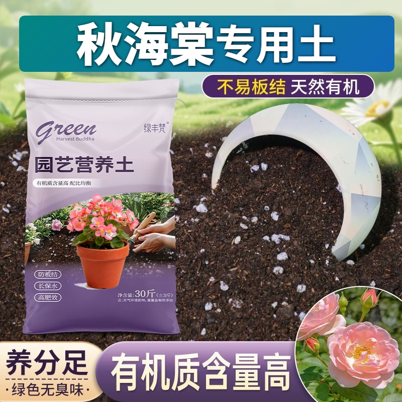 秋海棠专用轻质土不烂根菜园加深生根粉进口壮根球根不板结天然