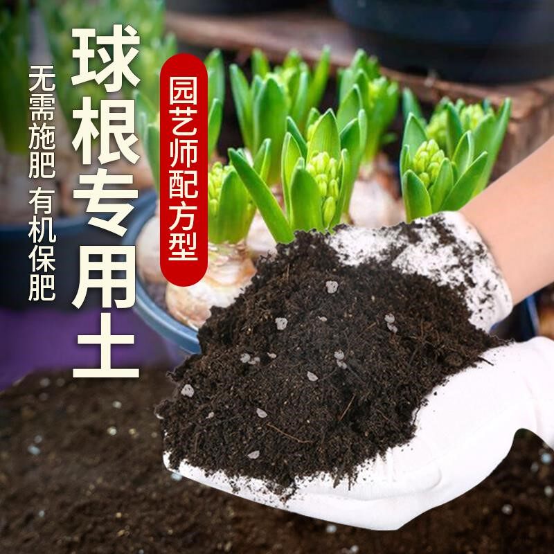 球根专用土肥料园艺球根营养土家庭花盆花卉椰砖植物养花绿植花土
