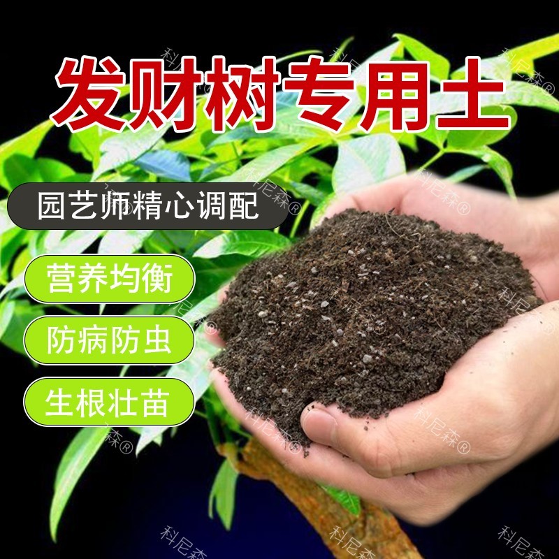 发财树专用土进口泥炭土疏松透气高温腐熟家庭园艺扦插大包不烂根