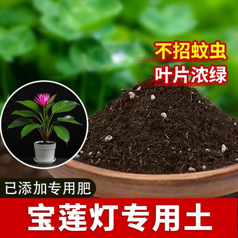 宝莲灯专用土发酵宝莲灯专用营养土家用通用型花卉园艺花草绿植