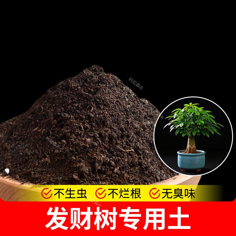 发财树专用土家用花土室内养花营养土疏松有机肥泥土育苗阳台花土