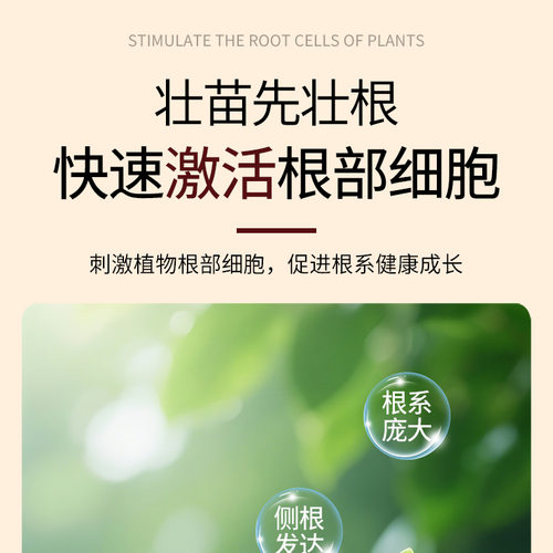 龟甲牡丹专用小分子有机质营养液兑水即用园艺壮根促长家用盆栽