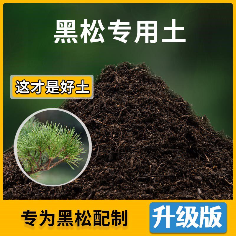 黑松专用土花草种植土壤黑松营养土盆栽种花养花植物肥料有机土
