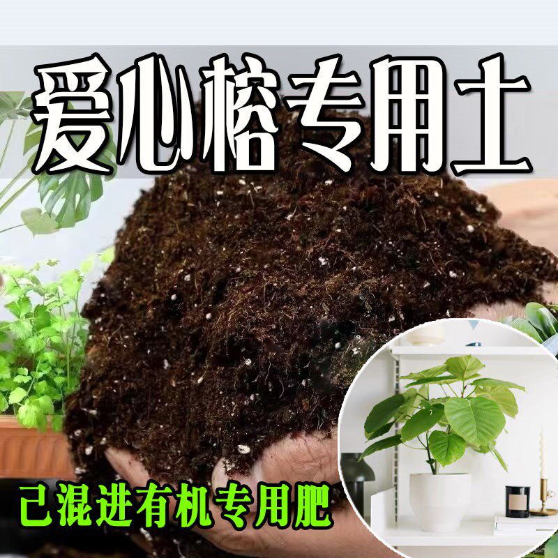爱心榕专用土 爱心榕专用营养土 盆栽养花种花土通用种植土壤肥料